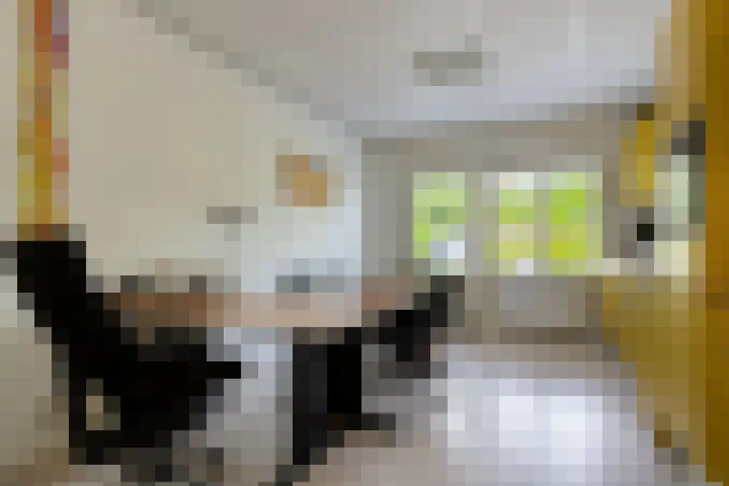 Wester Es 9 Appelscha thumbnail 35