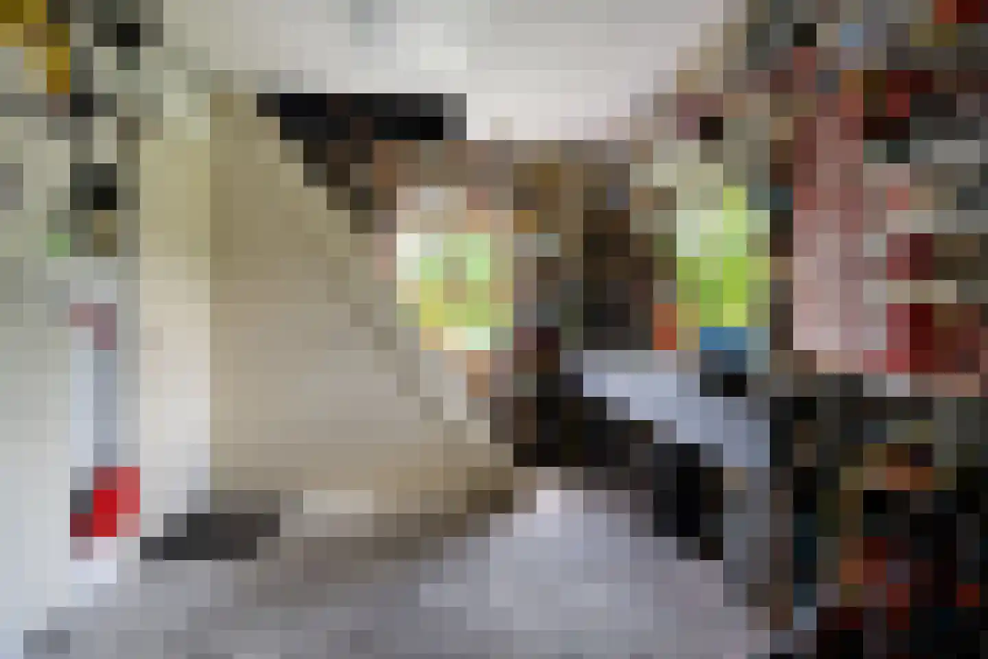 Wester Es 9 Appelscha thumbnail 37