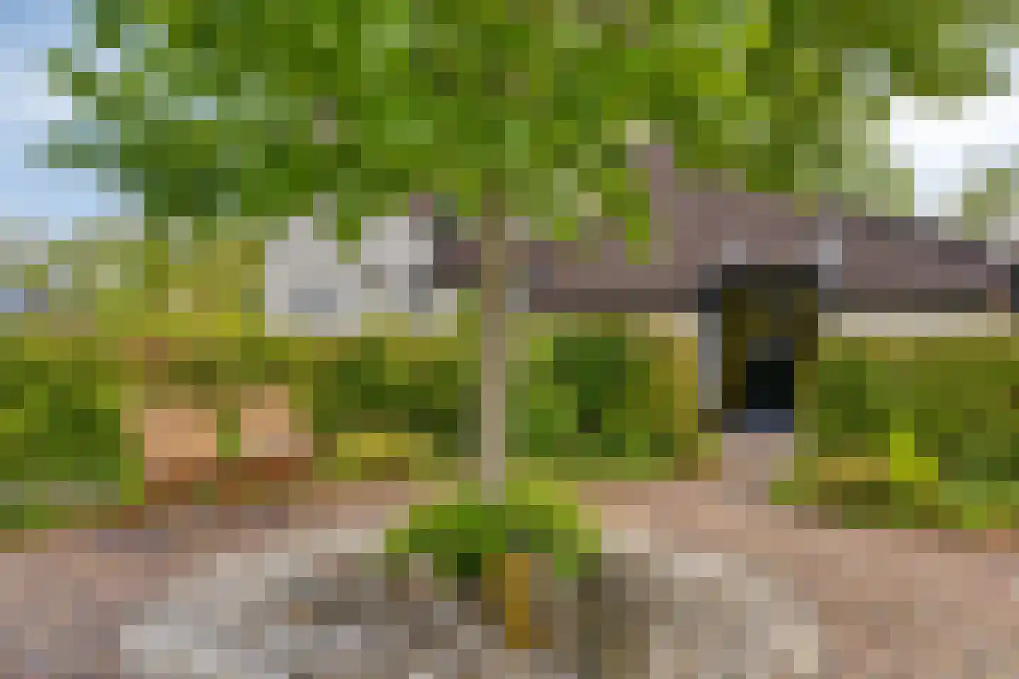 Wester Es 9 Appelscha thumbnail 4