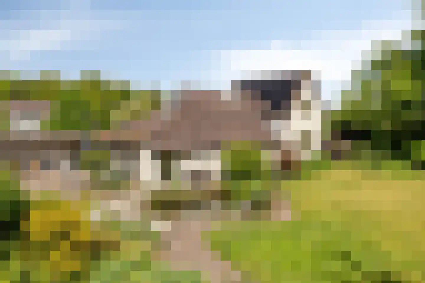 Wester Es 9 Appelscha thumbnail 40