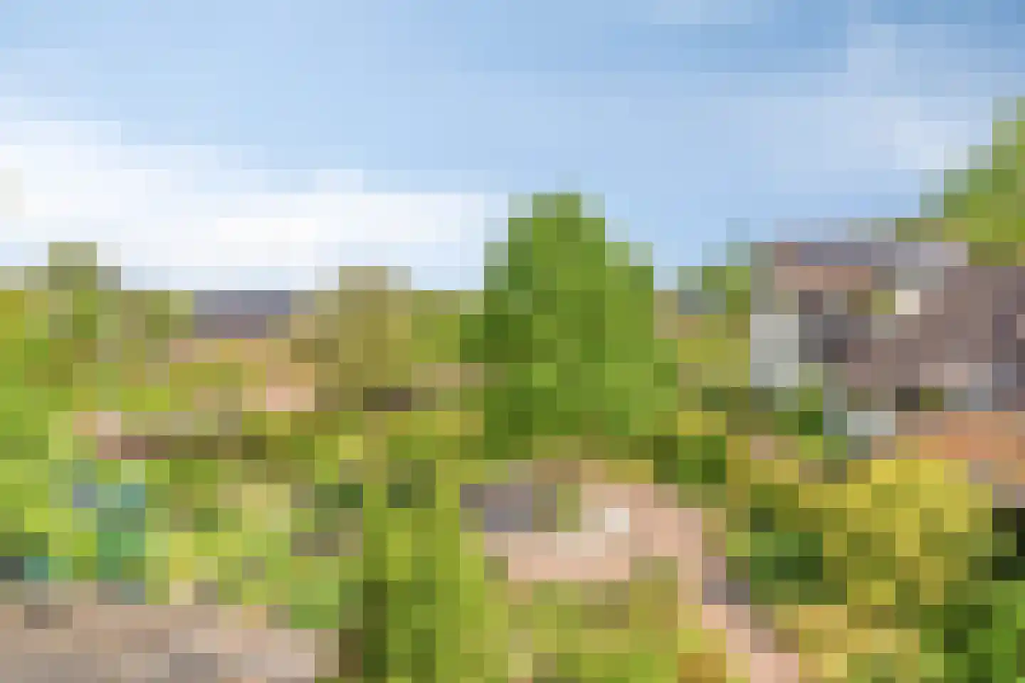 Wester Es 9 Appelscha thumbnail 41