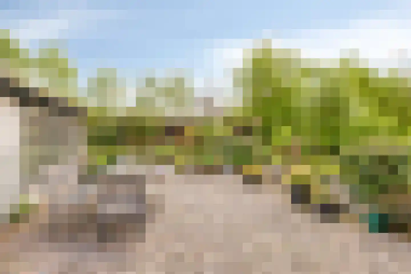 Wester Es 9 Appelscha thumbnail 42