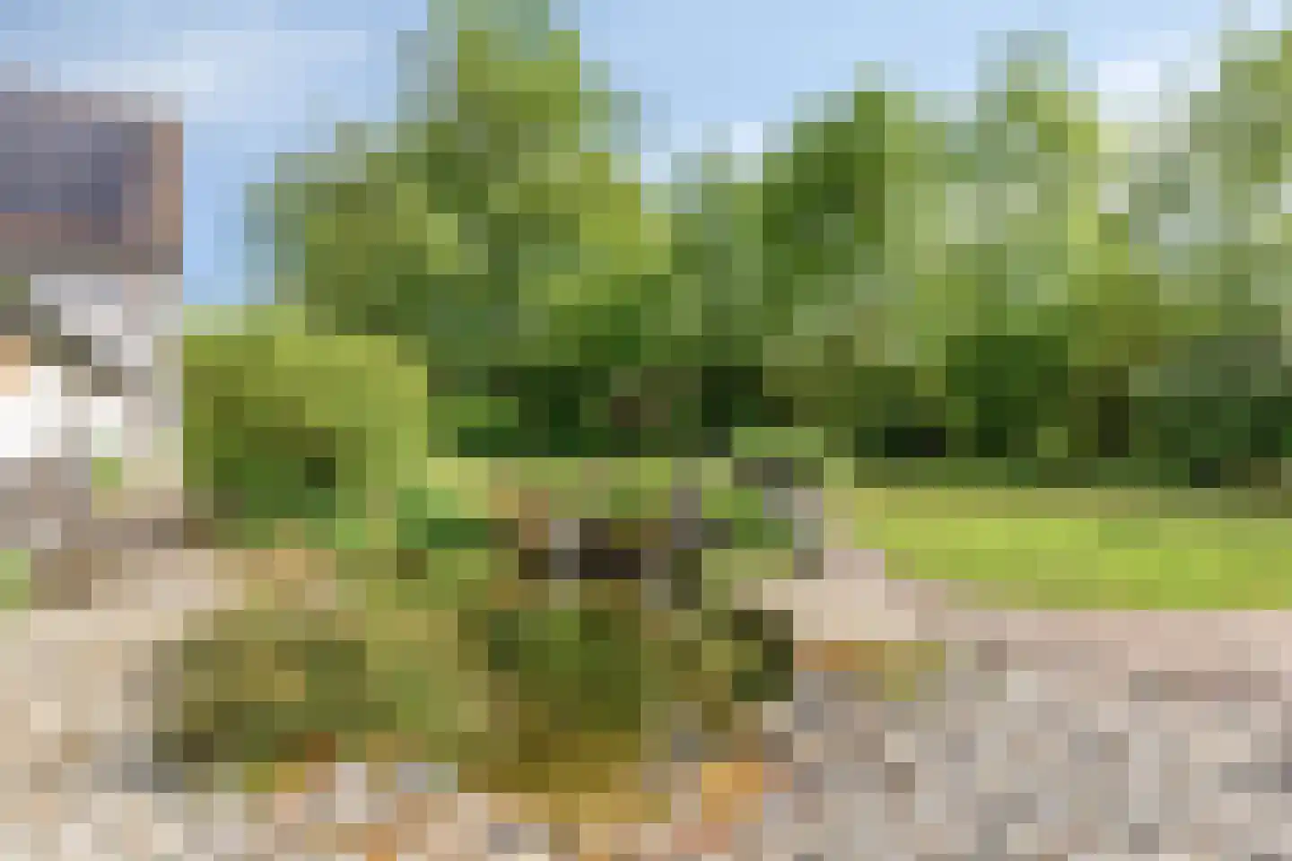 Wester Es 9 Appelscha thumbnail 43