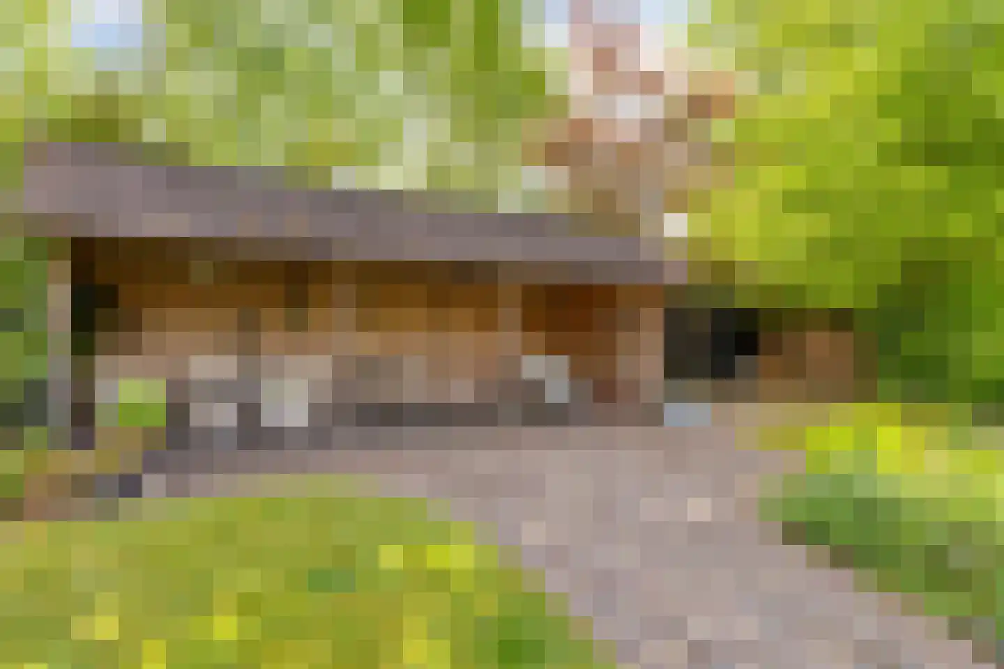 Wester Es 9 Appelscha thumbnail 44