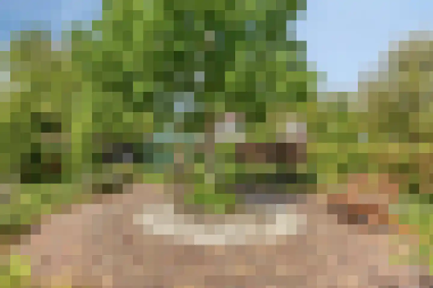 Wester Es 9 Appelscha thumbnail 45