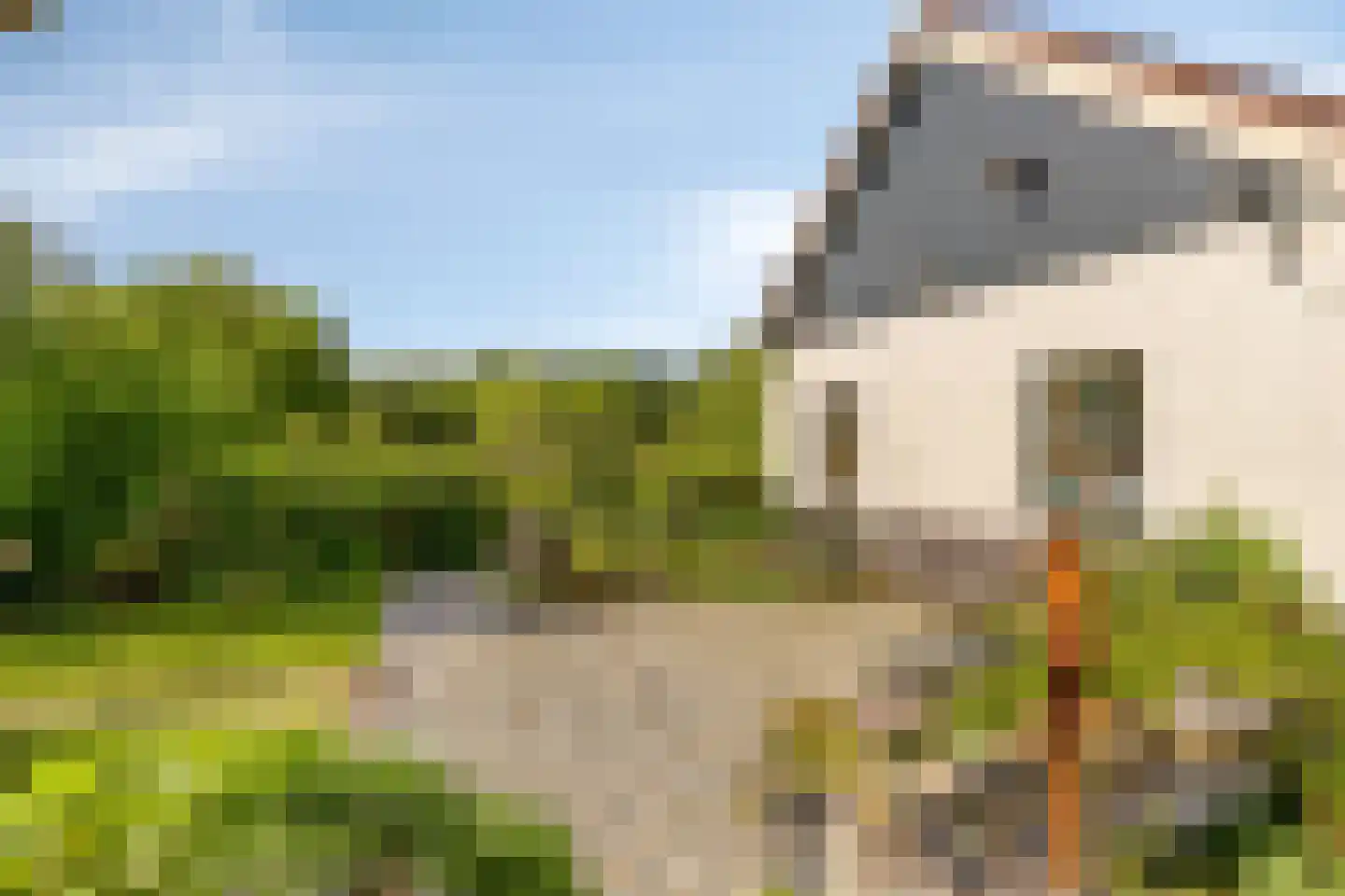 Wester Es 9 Appelscha thumbnail 46