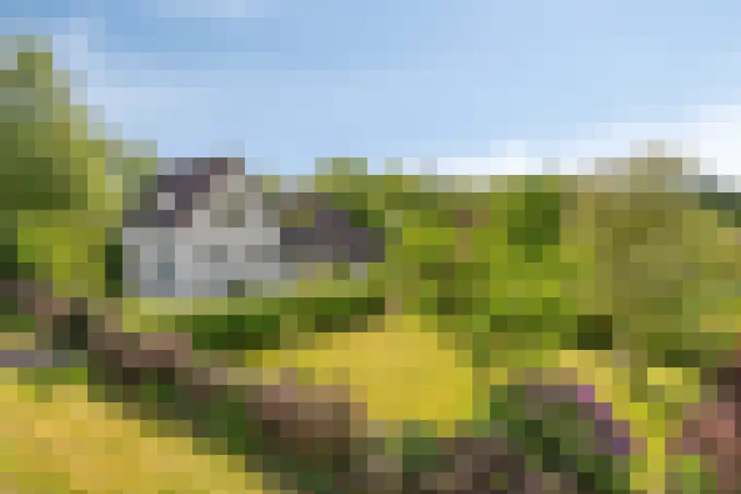 Wester Es 9 Appelscha thumbnail 49