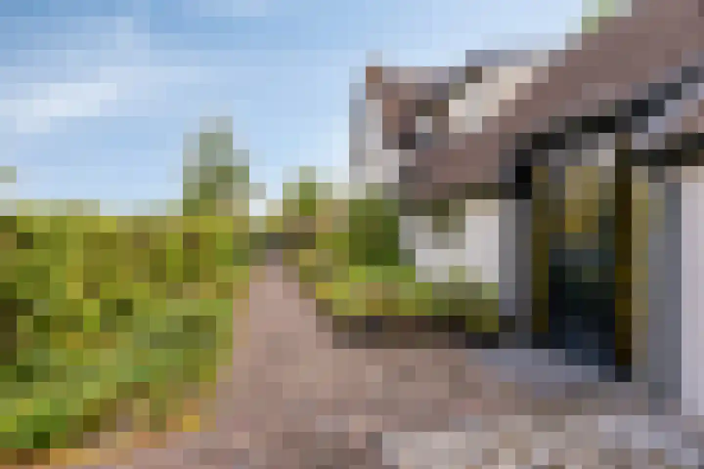 Wester Es 9 Appelscha thumbnail 5