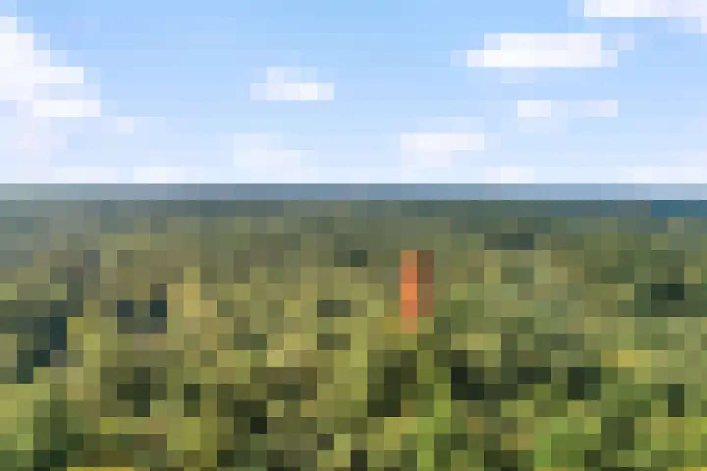 Wester Es 9 Appelscha thumbnail 51