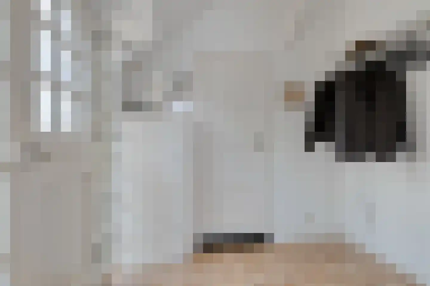 Wester Es 9 Appelscha thumbnail 7