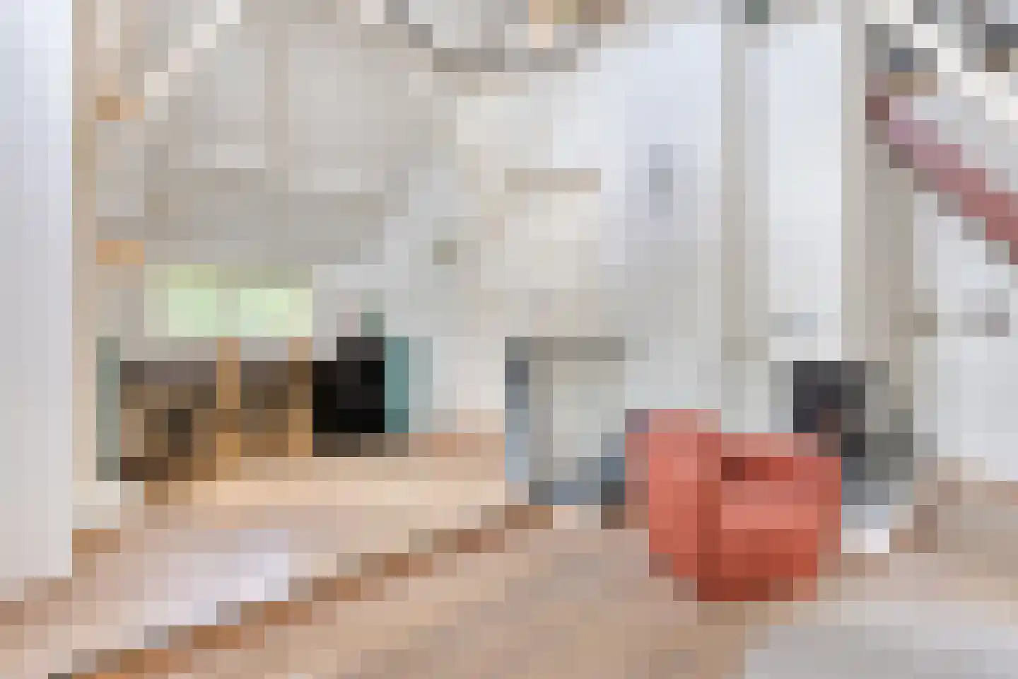 Wester Es 9 Appelscha thumbnail 9
