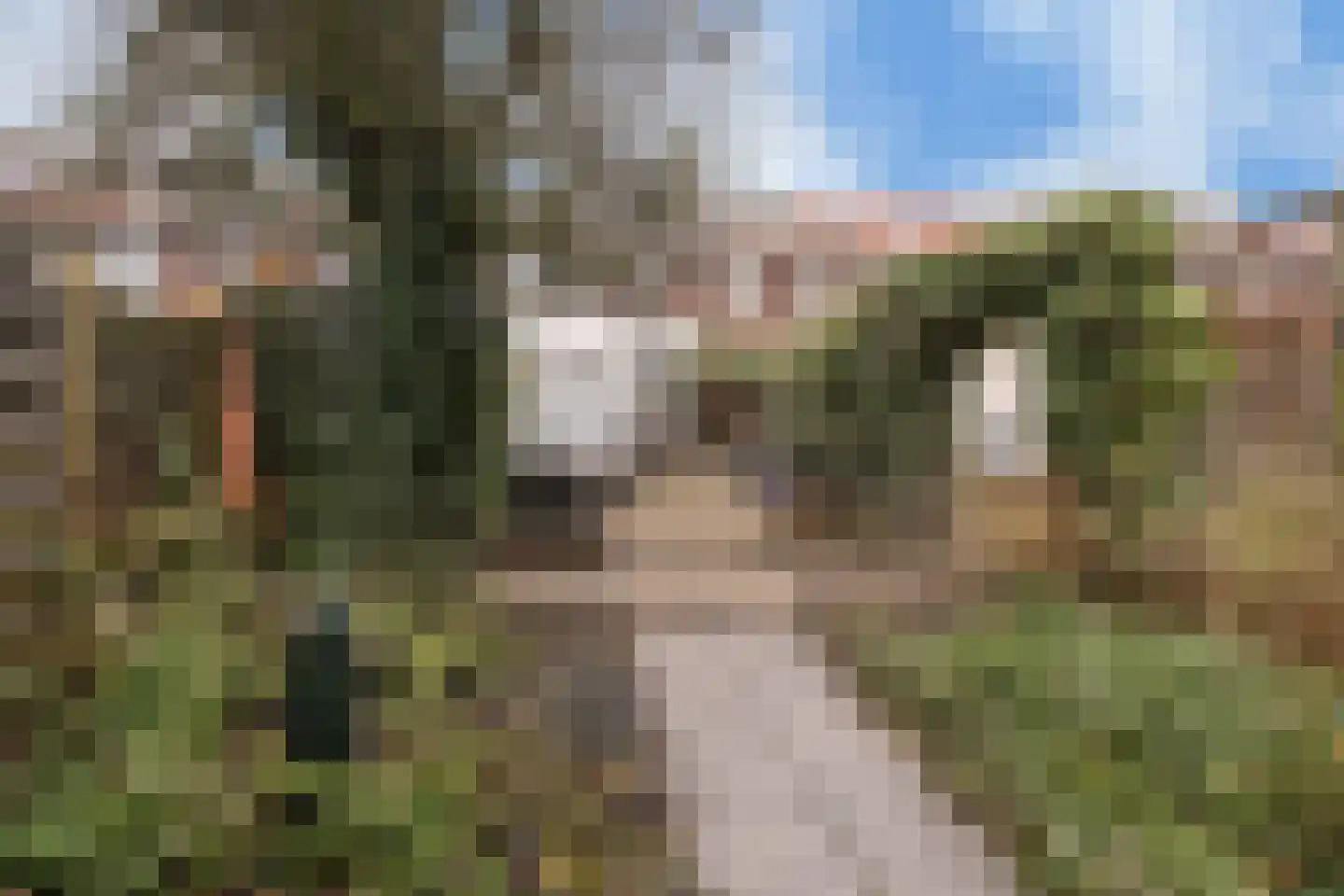 Wester Hordijk 322 Rotterdam thumbnail 36
