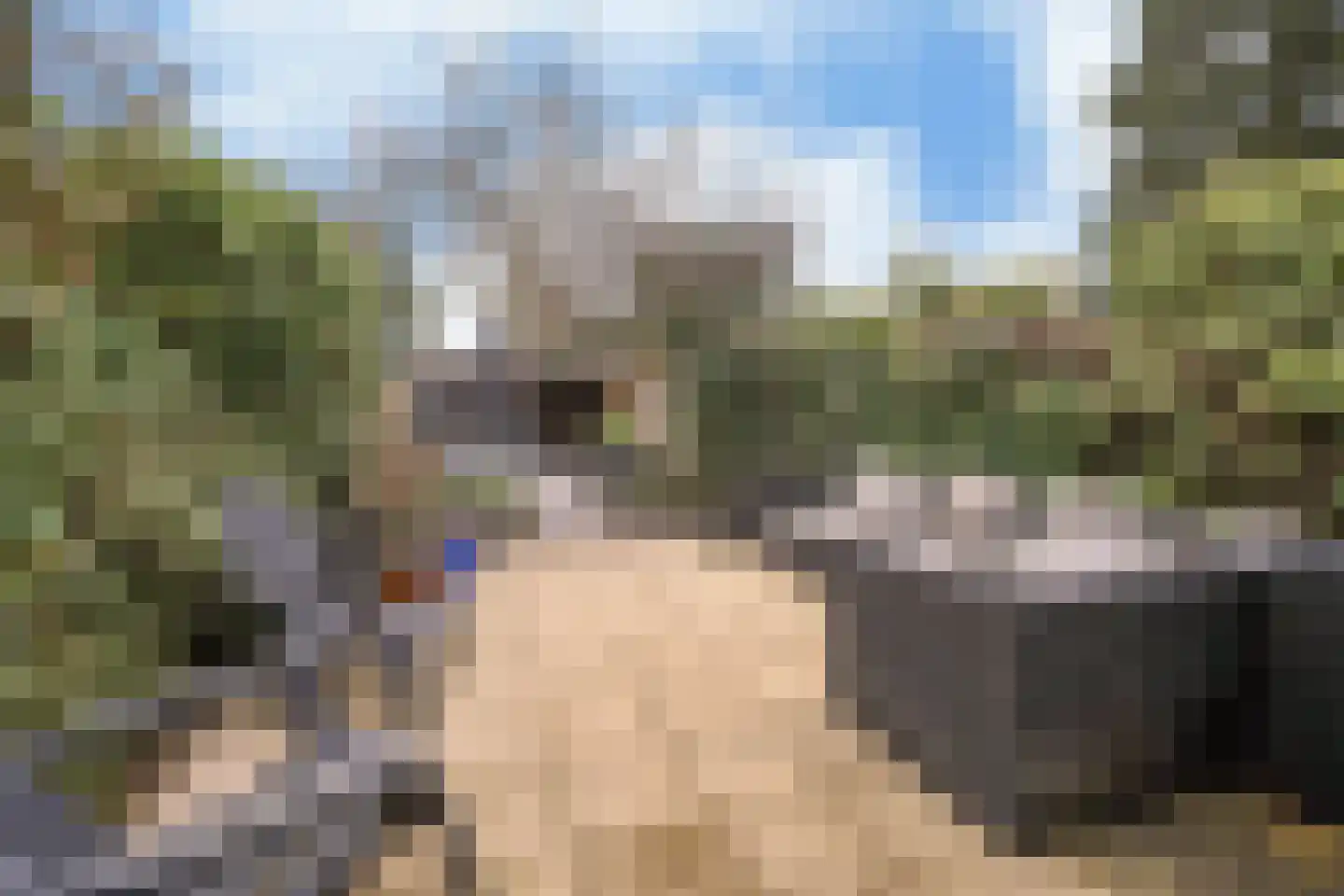 Wester Hordijk 322 Rotterdam thumbnail 6