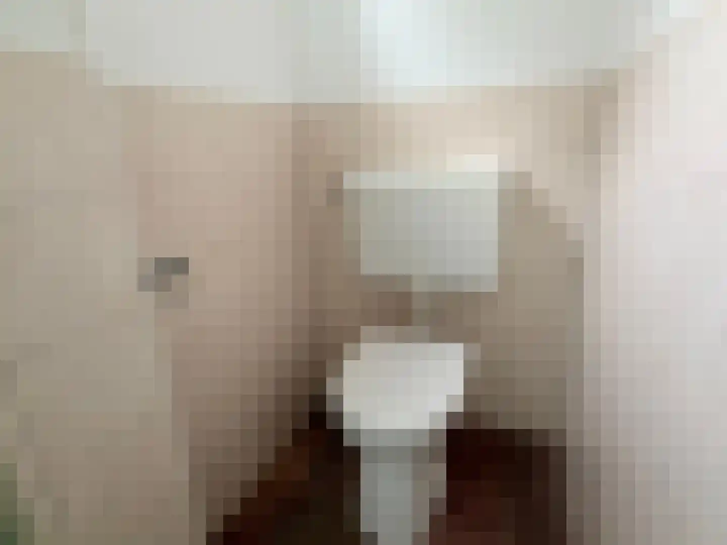 Wester Meeweg 16 Schellinkhout thumbnail 10
