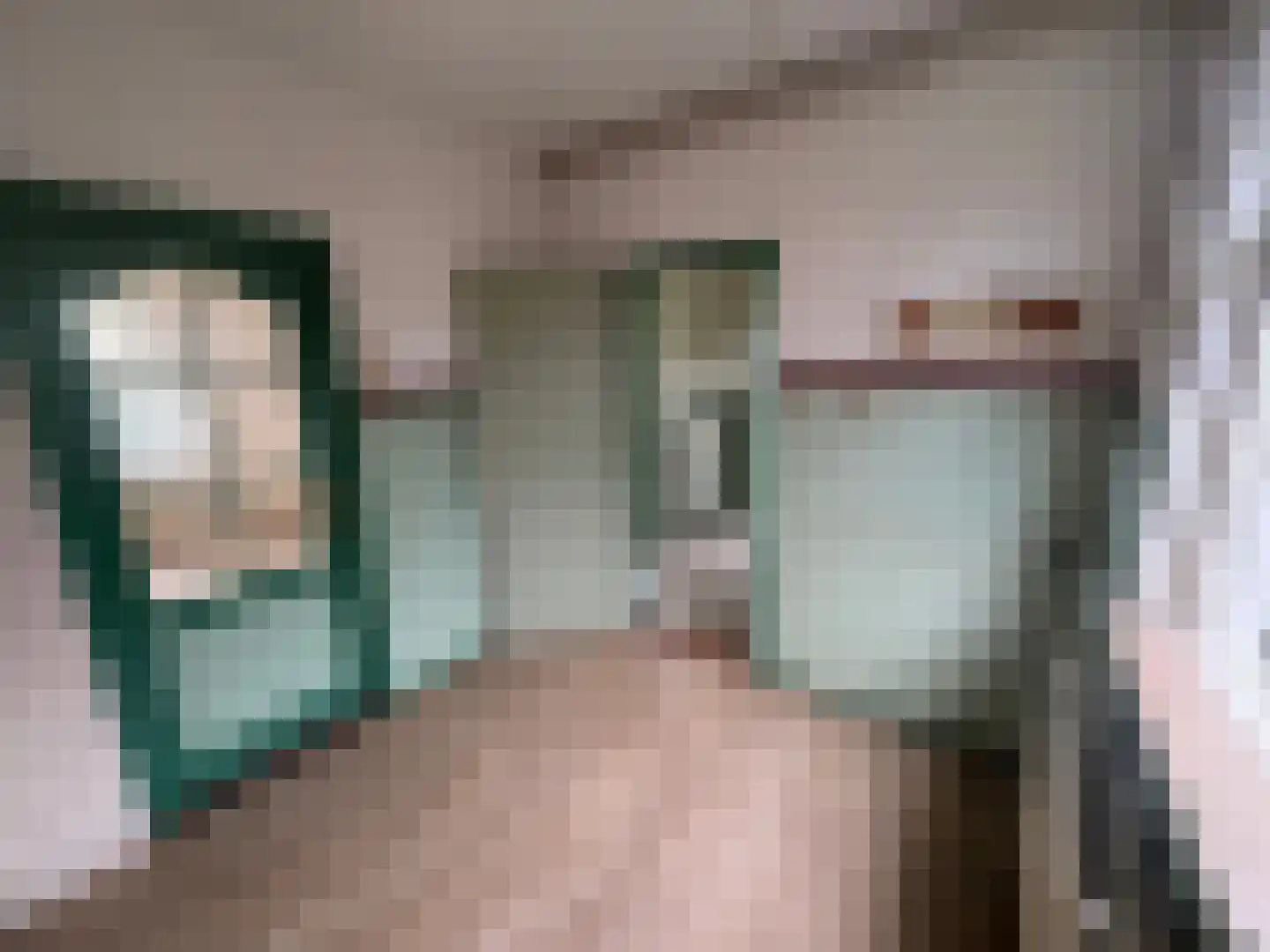 Wester Meeweg 16 Schellinkhout thumbnail 10