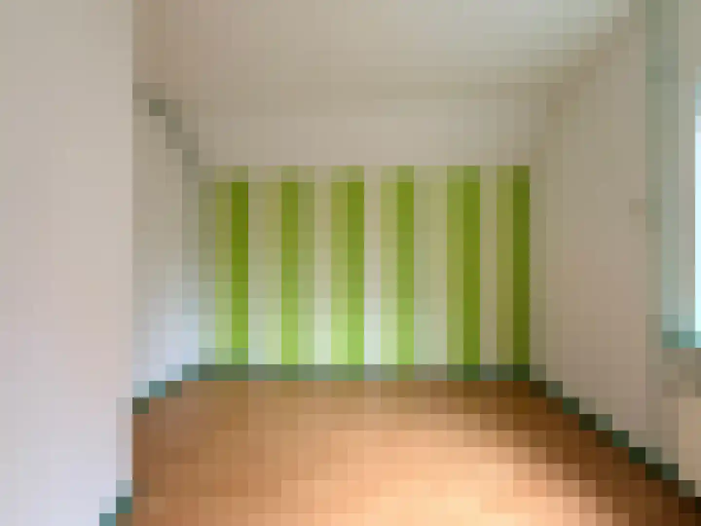 Wester Meeweg 16 Schellinkhout thumbnail 13