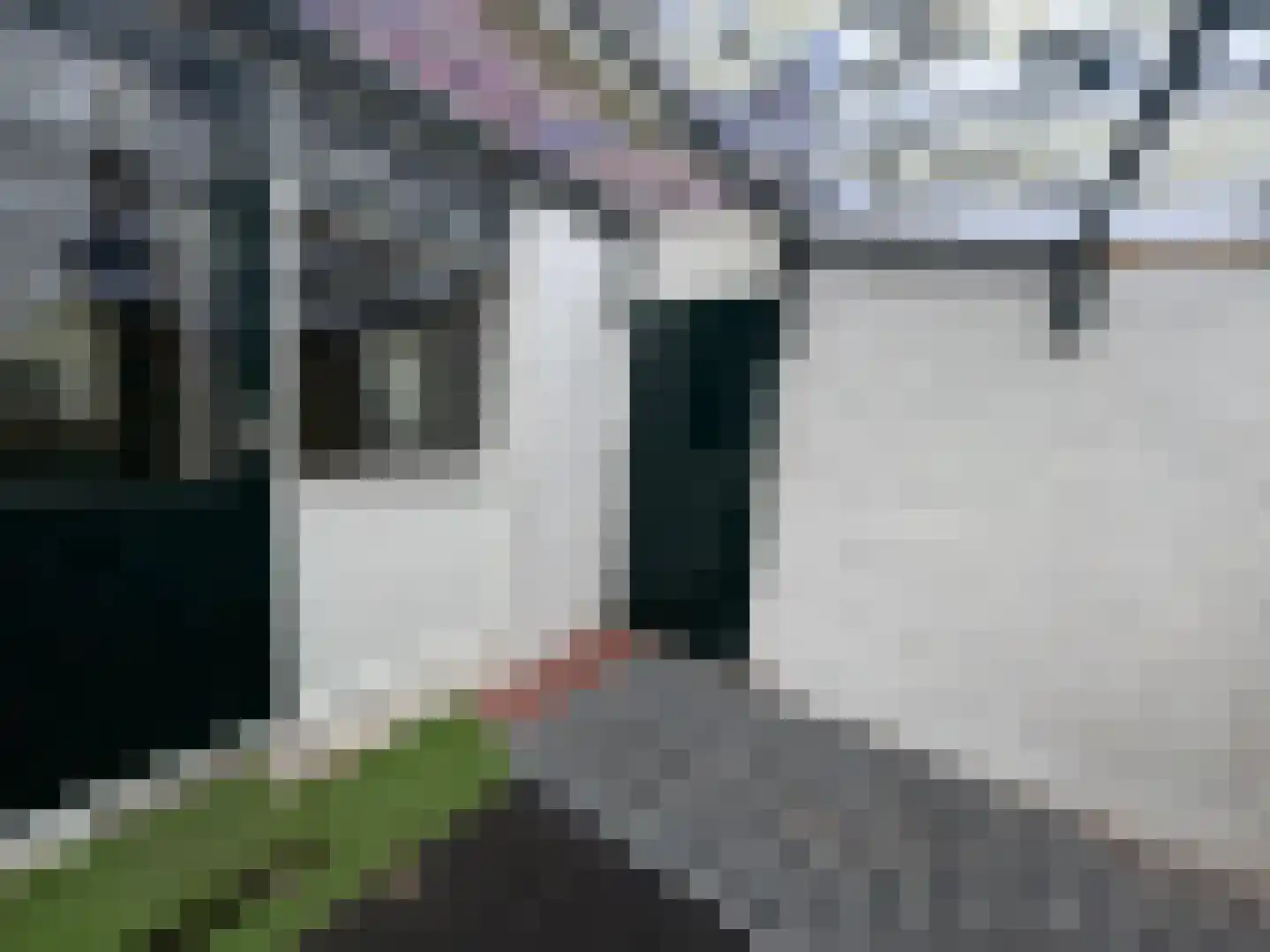 Wester Meeweg 16 Schellinkhout thumbnail 13