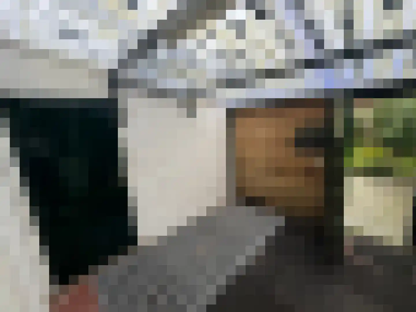Wester Meeweg 16 Schellinkhout thumbnail 15