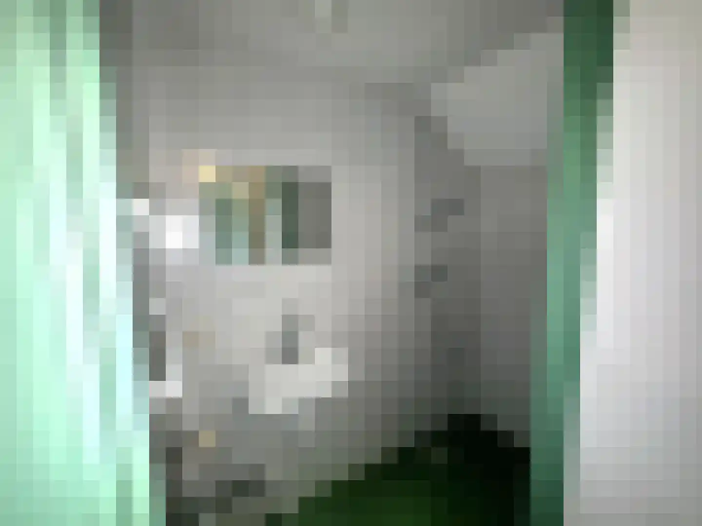 Wester Meeweg 16 Schellinkhout thumbnail 16