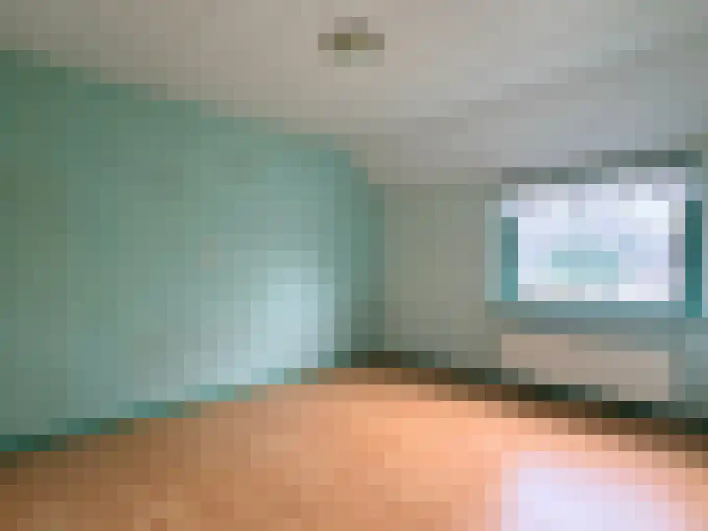 Wester Meeweg 16 Schellinkhout thumbnail 17
