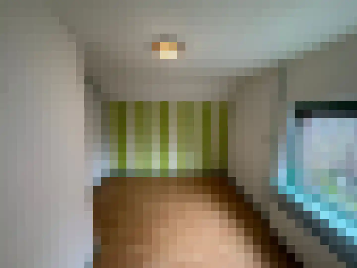 Wester Meeweg 16 Schellinkhout thumbnail 17