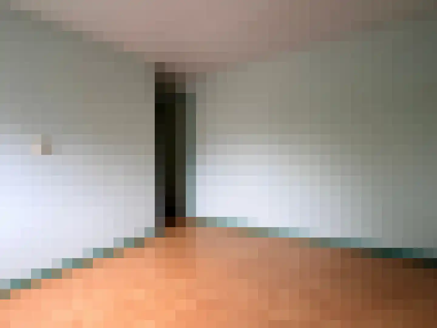 Wester Meeweg 16 Schellinkhout thumbnail 18