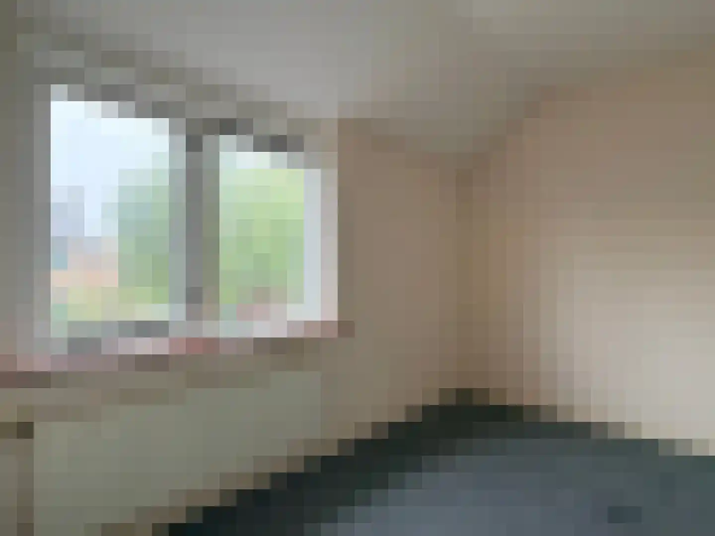 Wester Meeweg 16 Schellinkhout thumbnail 19