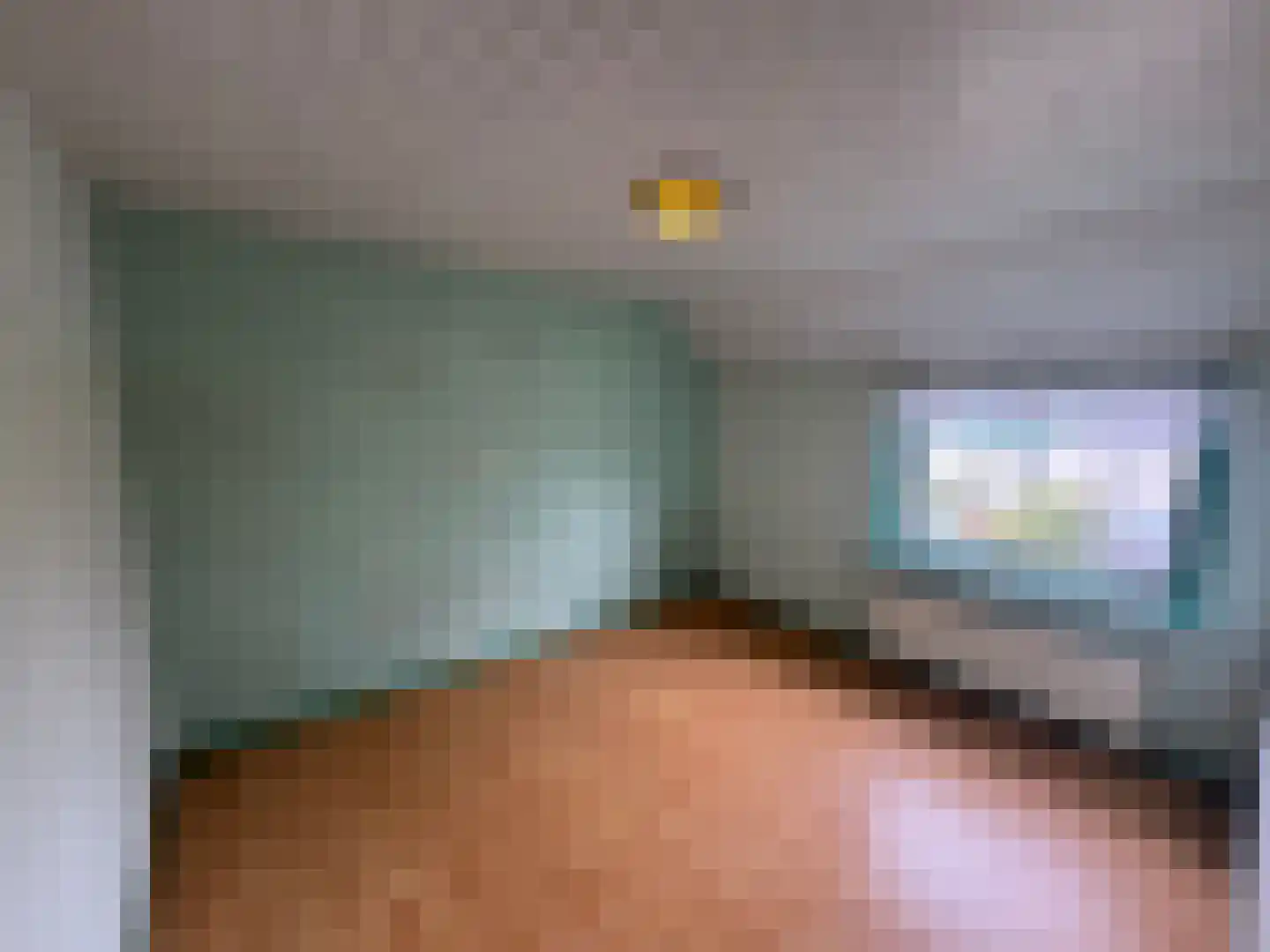 Wester Meeweg 16 Schellinkhout thumbnail 20