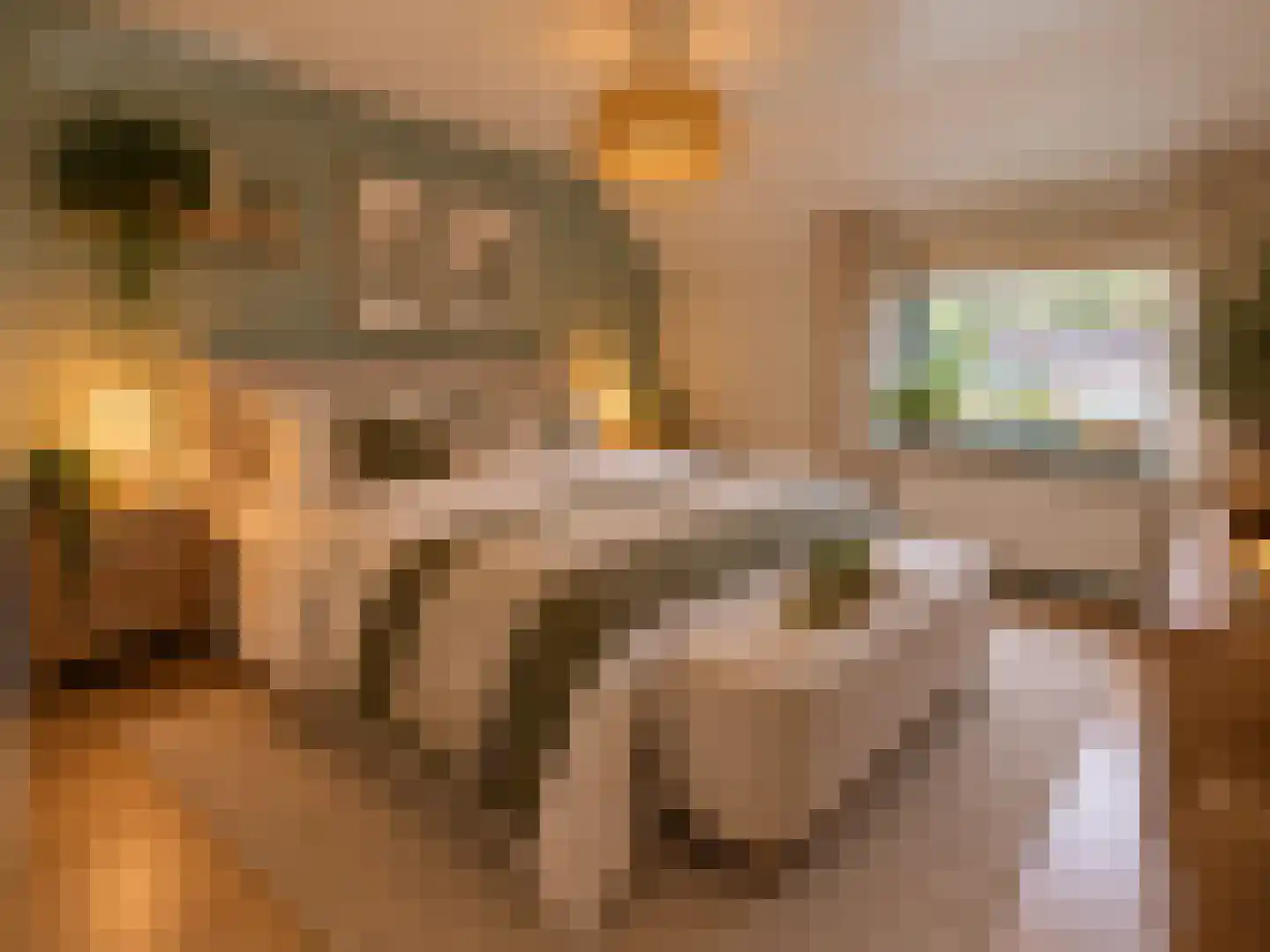 Wester Meeweg 16 Schellinkhout thumbnail 21