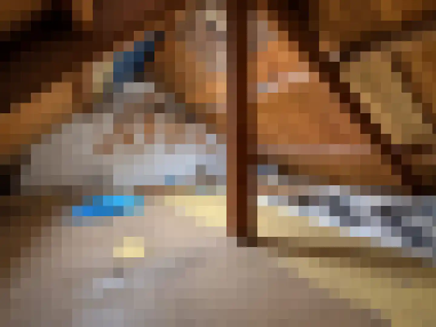 Wester Meeweg 16 Schellinkhout thumbnail 21