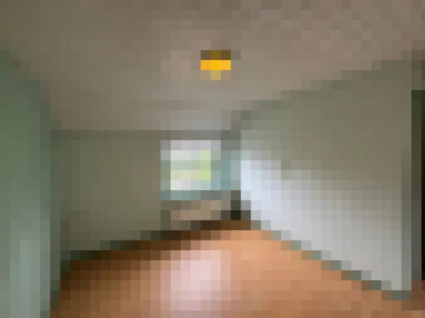 Wester Meeweg 16 Schellinkhout thumbnail 22