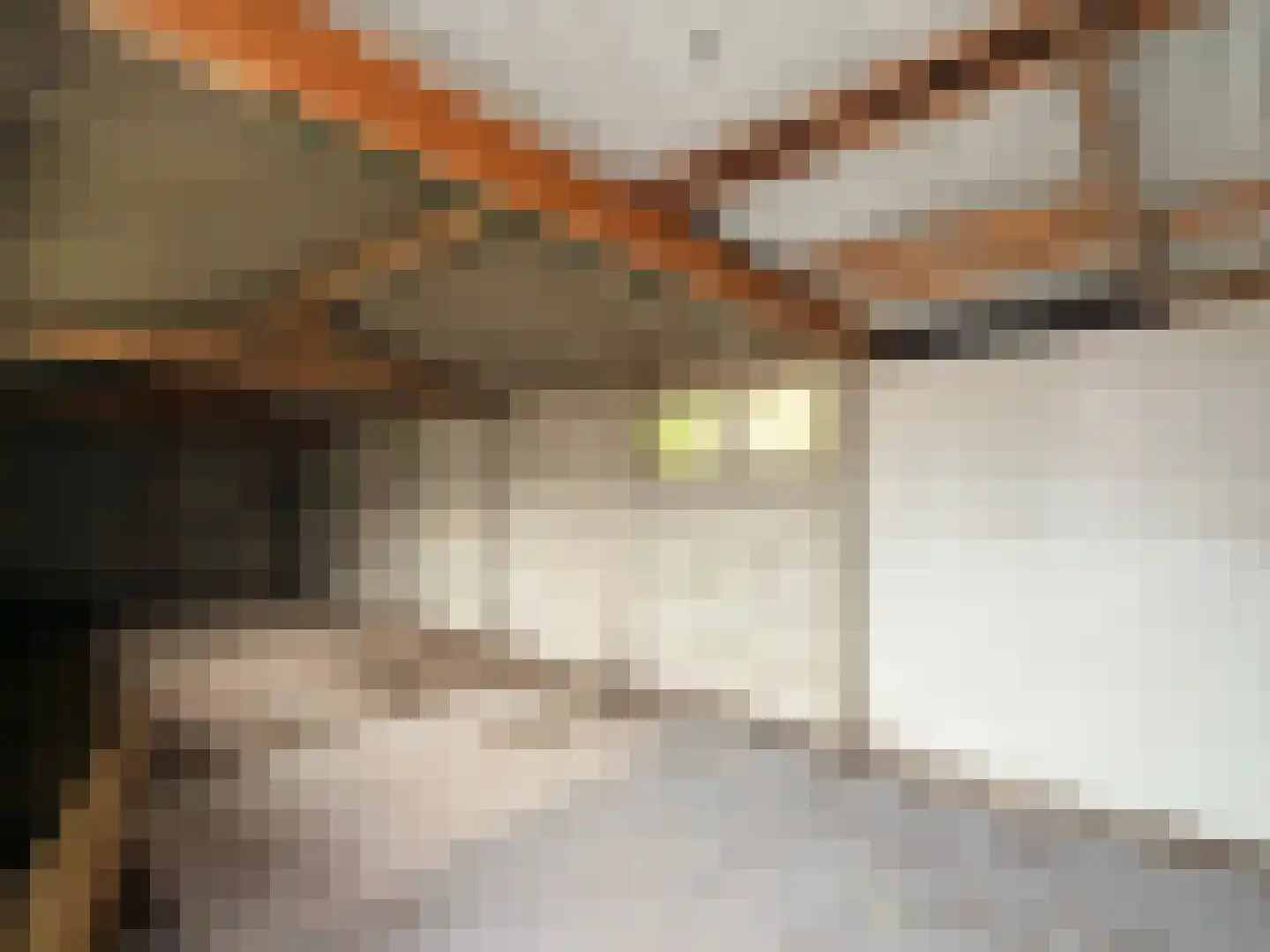 Wester Meeweg 16 Schellinkhout thumbnail 23