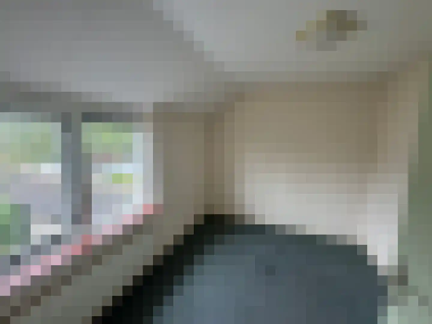 Wester Meeweg 16 Schellinkhout thumbnail 23