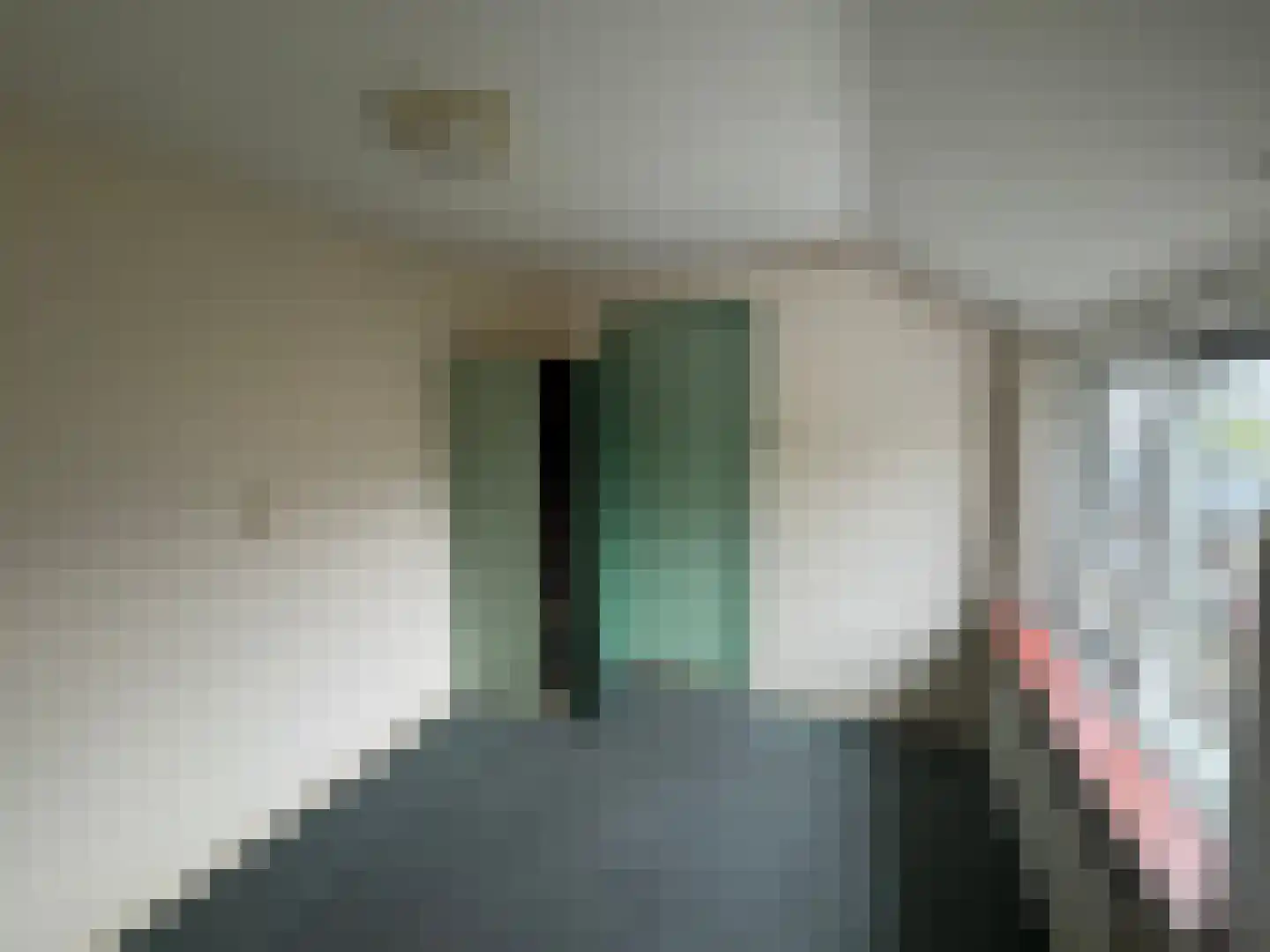Wester Meeweg 16 Schellinkhout thumbnail 25