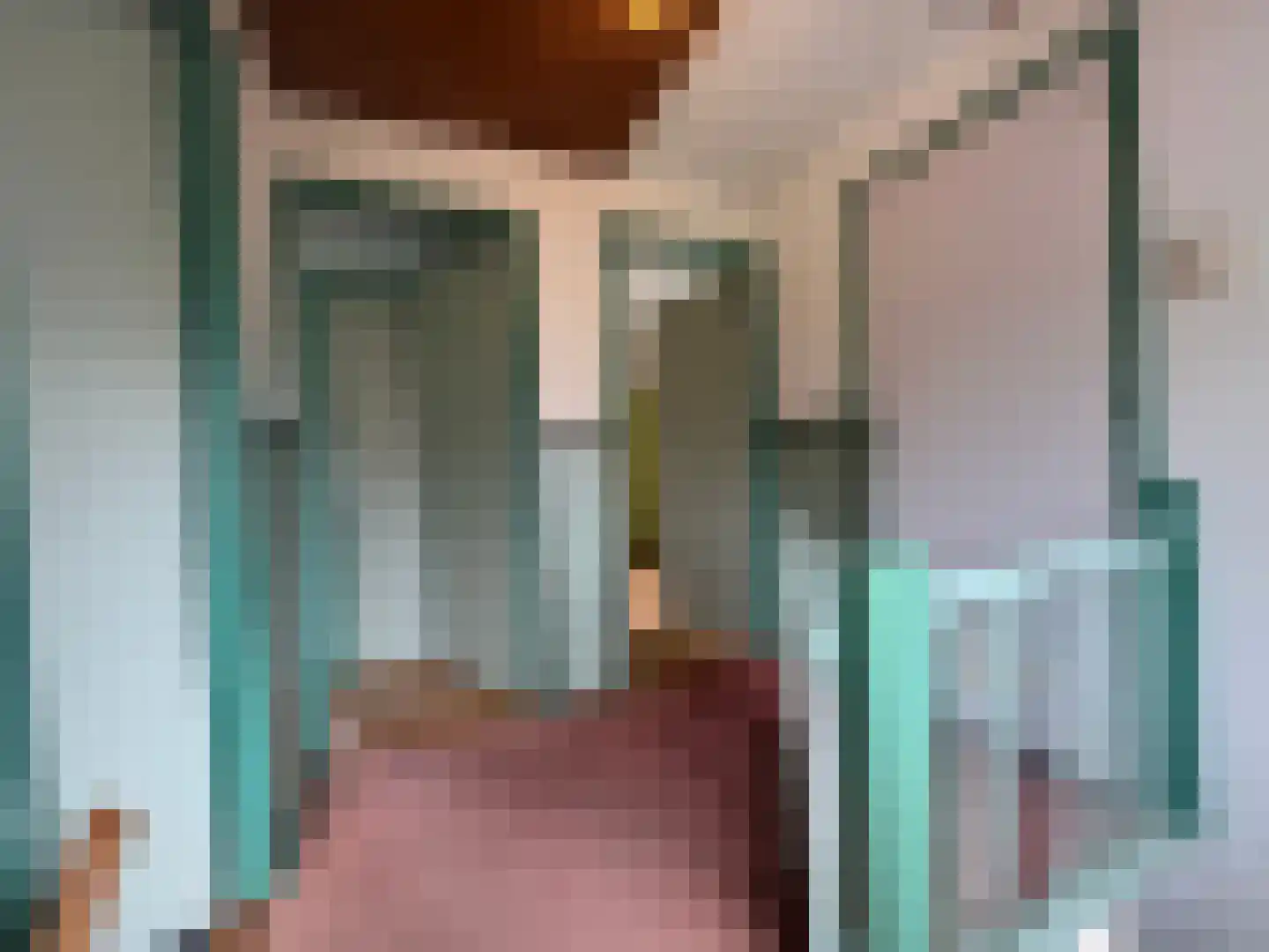 Wester Meeweg 16 Schellinkhout thumbnail 26