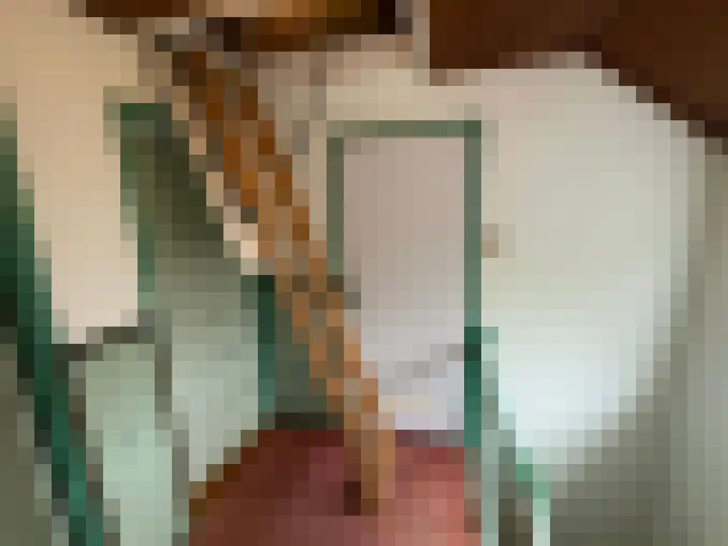 Wester Meeweg 16 Schellinkhout thumbnail 27
