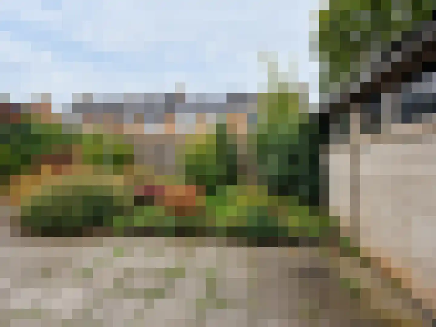 Wester Meeweg 16 Schellinkhout thumbnail 27