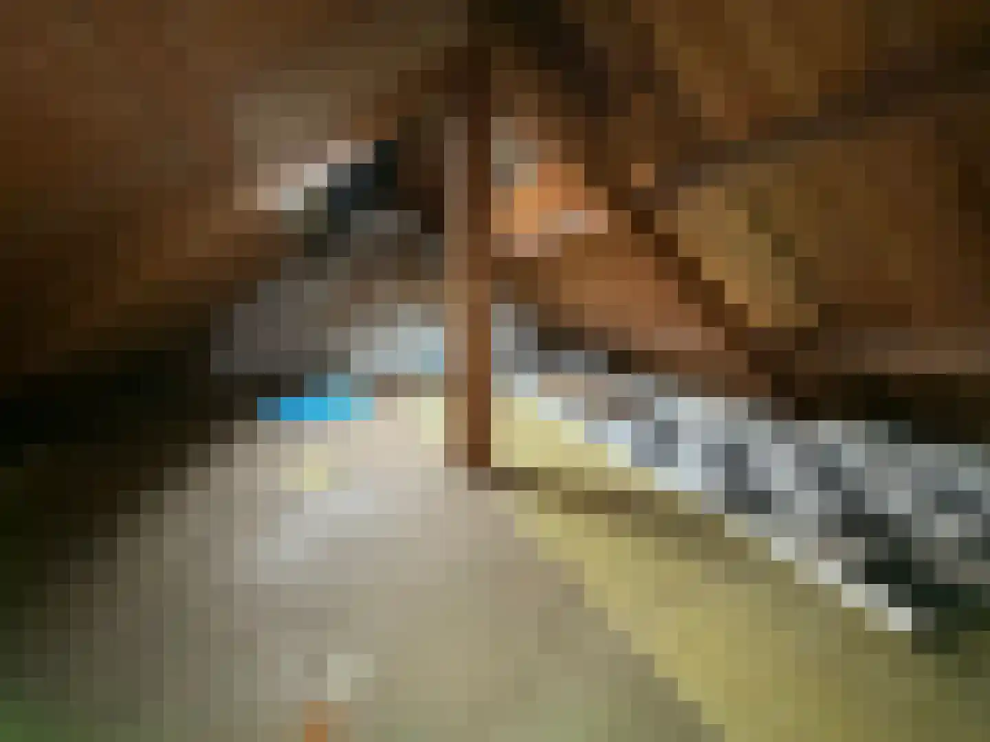 Wester Meeweg 16 Schellinkhout thumbnail 28