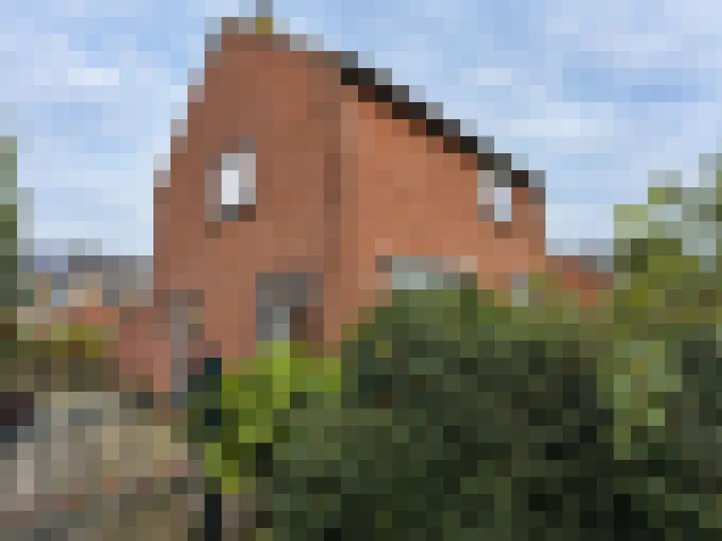 Wester Meeweg 16 Schellinkhout thumbnail 28