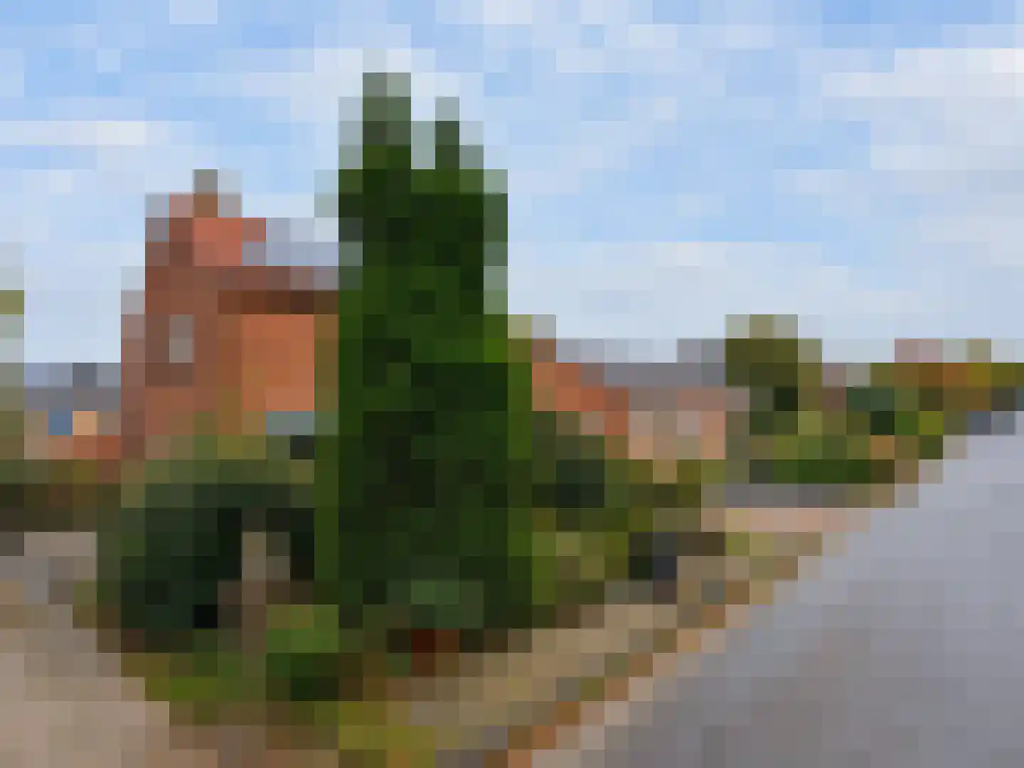 Wester Meeweg 16 Schellinkhout thumbnail 29