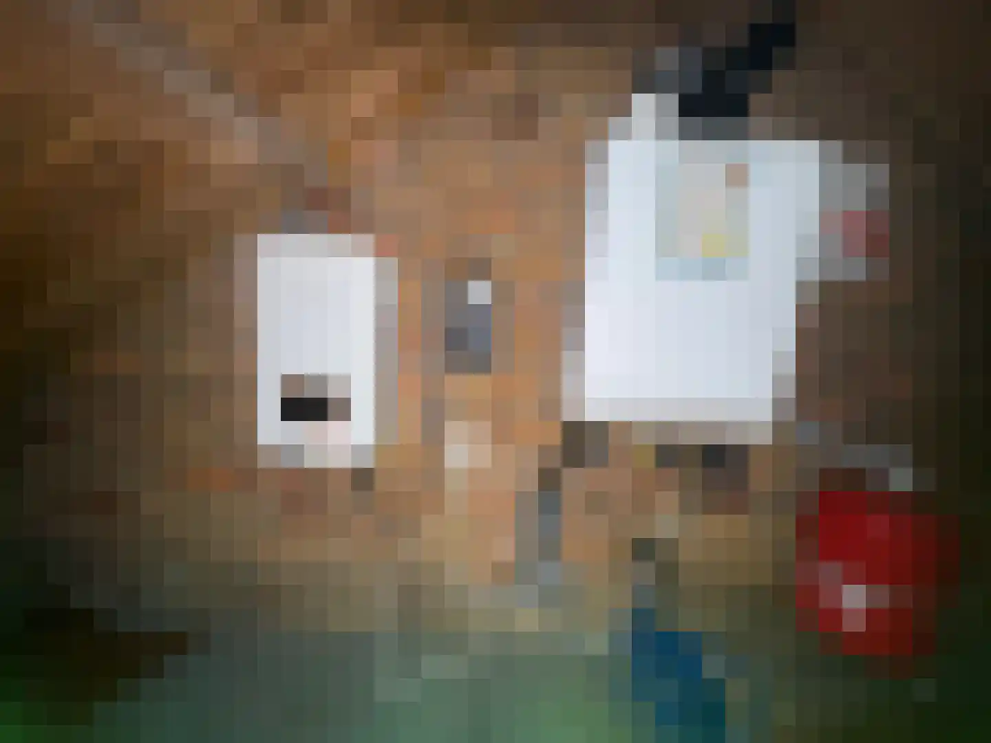 Wester Meeweg 16 Schellinkhout thumbnail 29