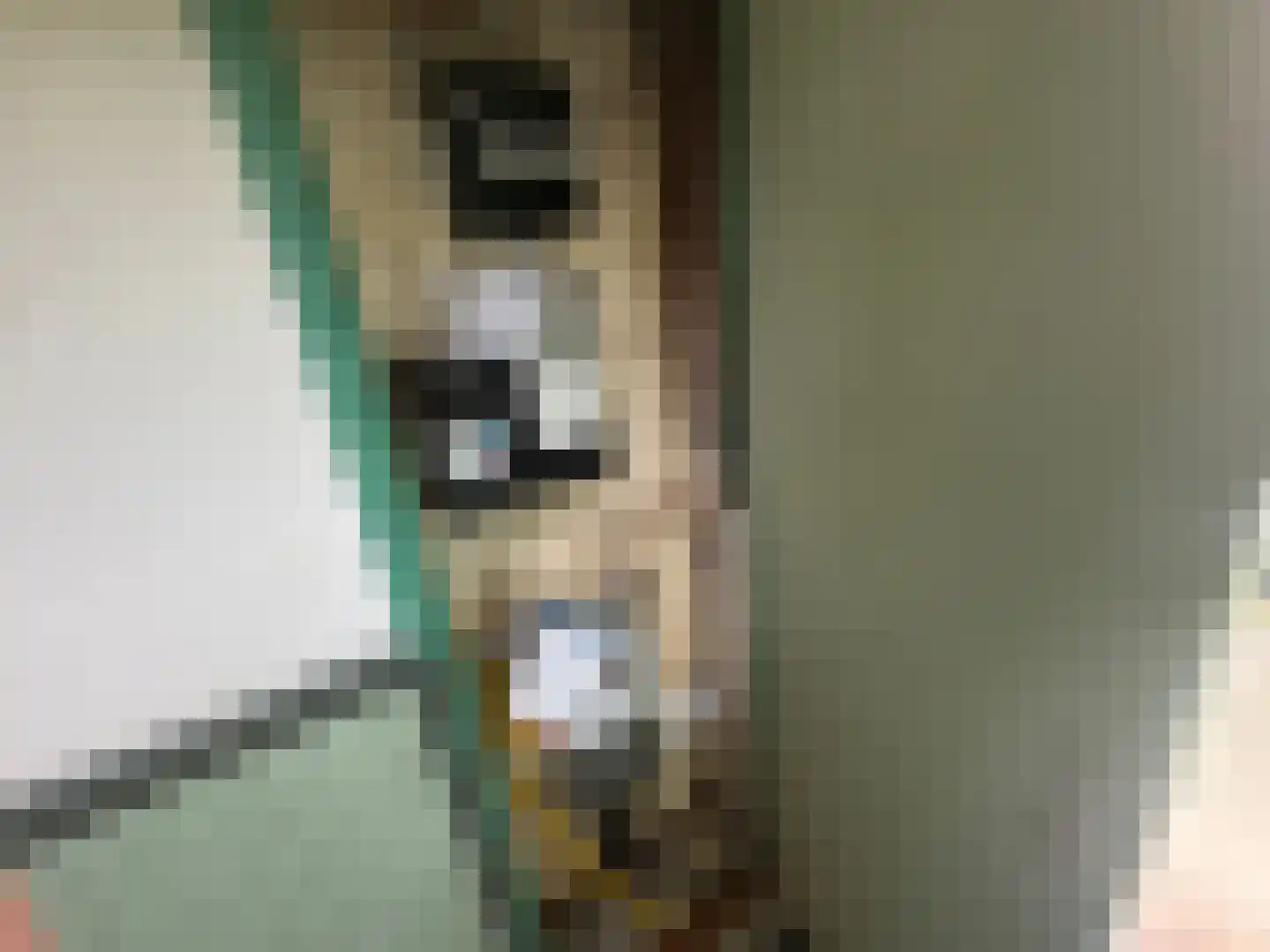 Wester Meeweg 16 Schellinkhout thumbnail 30