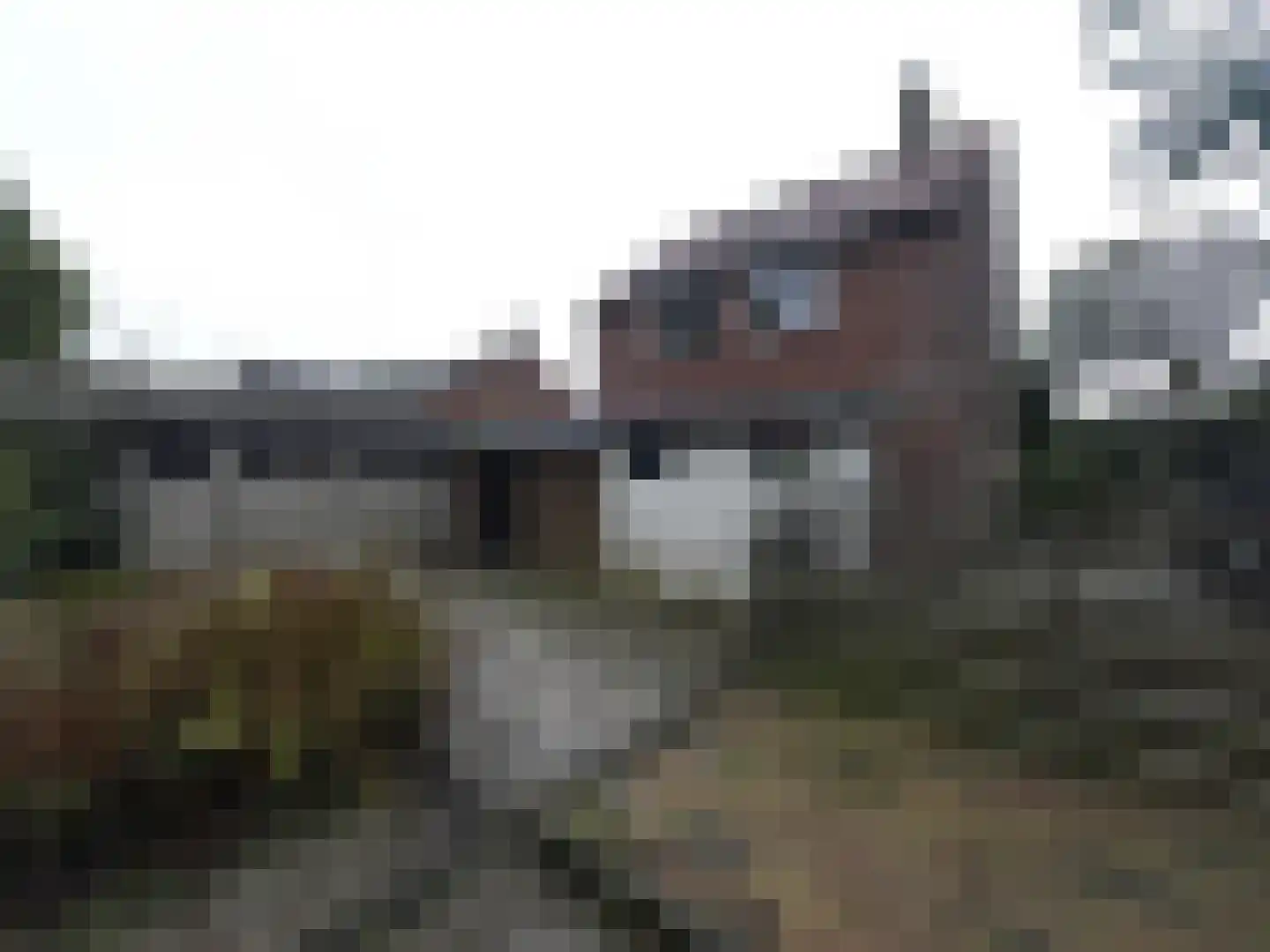 Wester Meeweg 16 Schellinkhout thumbnail 31
