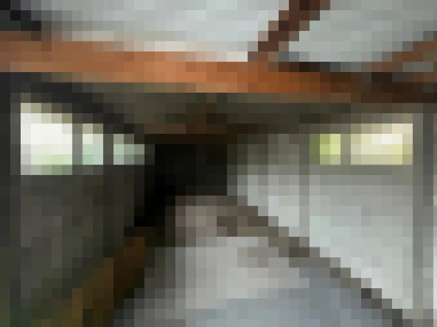 Wester Meeweg 16 Schellinkhout thumbnail 34