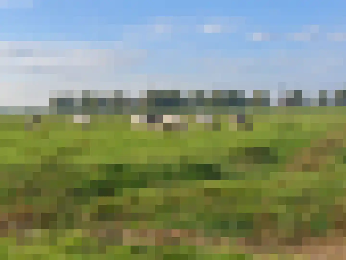 Wester Meeweg 16 Schellinkhout thumbnail 34