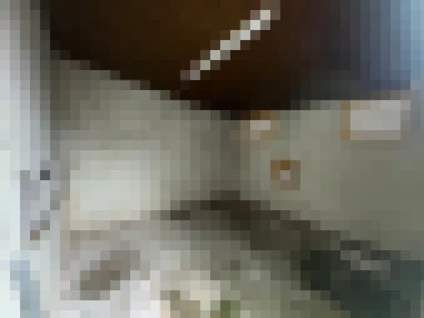Wester Meeweg 16 Schellinkhout thumbnail 35
