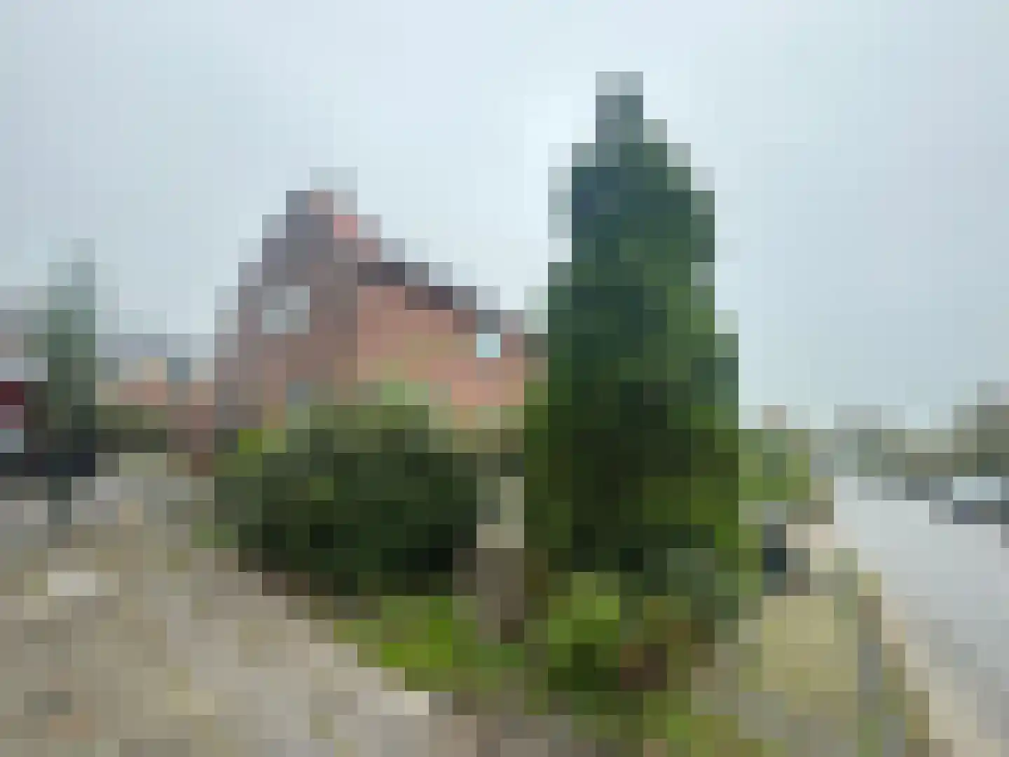 Wester Meeweg 16 Schellinkhout thumbnail 39