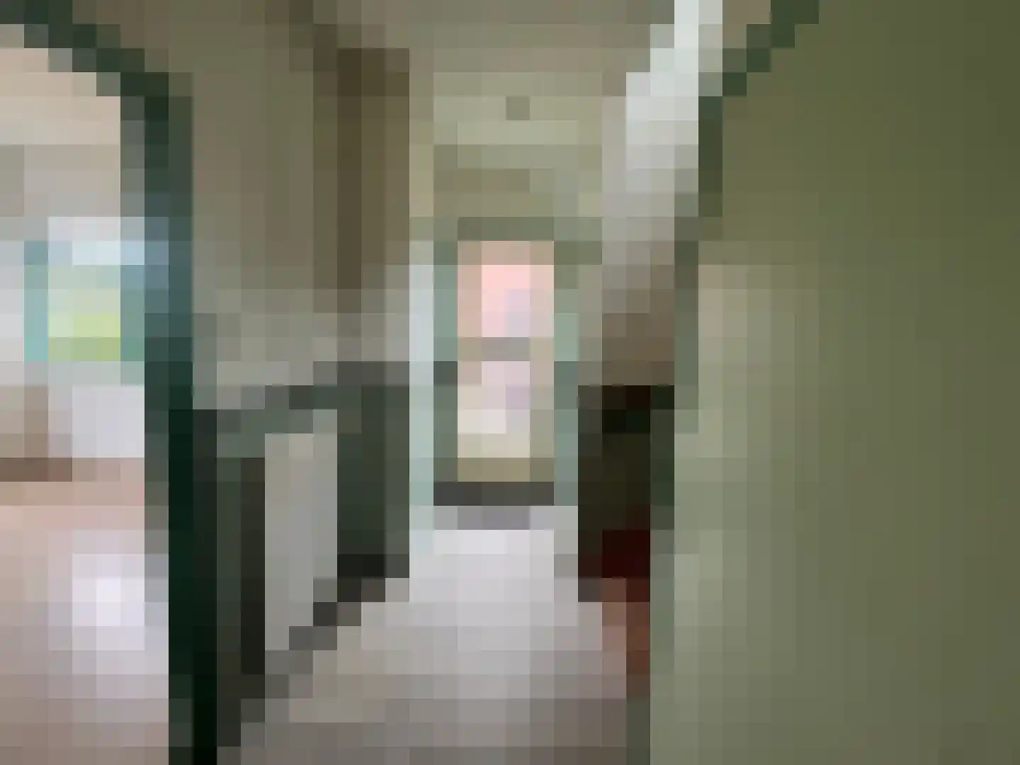Wester Meeweg 16 Schellinkhout thumbnail 4