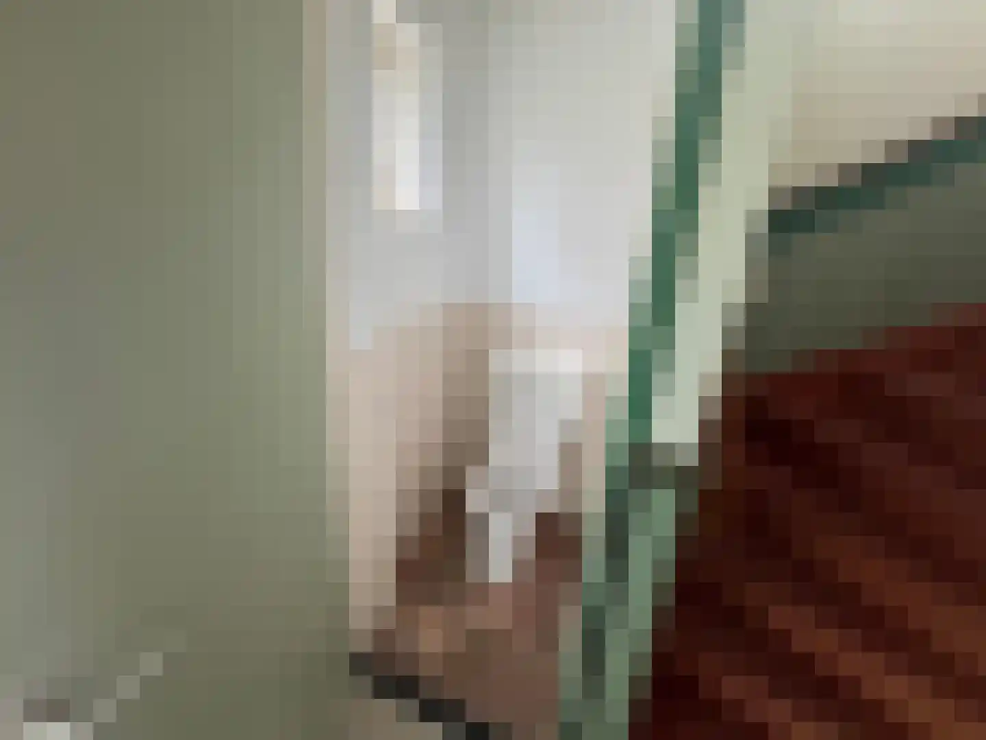 Wester Meeweg 16 Schellinkhout thumbnail 5