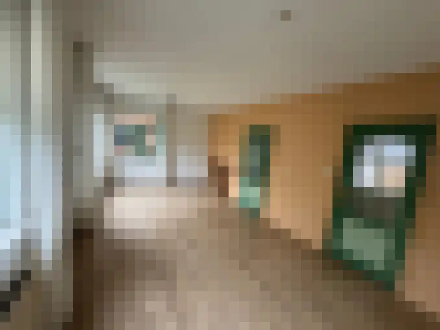 Wester Meeweg 16 Schellinkhout thumbnail 6